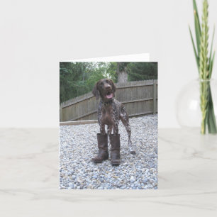 Cartão German Shorthaired Pointer in Boots