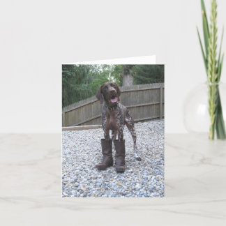 Cartão German Shorthaired Pointer in Boots