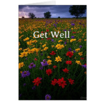 Get Well Card
