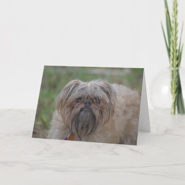 Cartão Get Well Card-Humor/Rude (Frente)