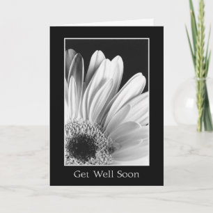 Cartão Get Well - Gerber Daisy Greeting Card