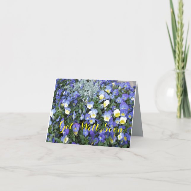 Cartão Get Well Greeting Card-Pansies (Frente)