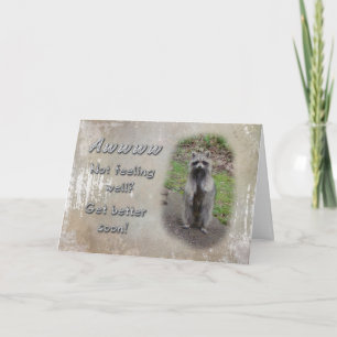 Cartão Get Well Greeting Card - Raccoon  Feel Better Soon