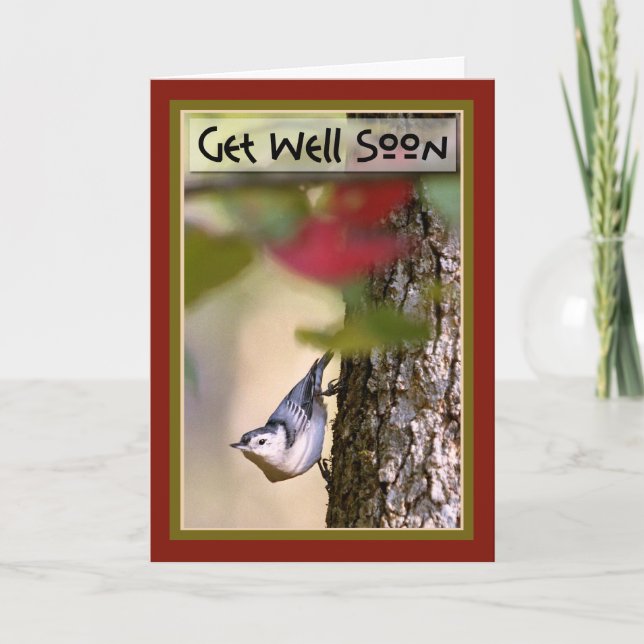 Cartão Get Well - Nuthatch Greeting Card (Frente)