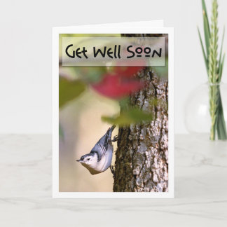 Cartão Get Well - Nuthatch Greeting Card