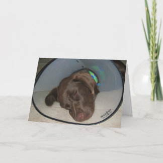 Cartão Get well soon