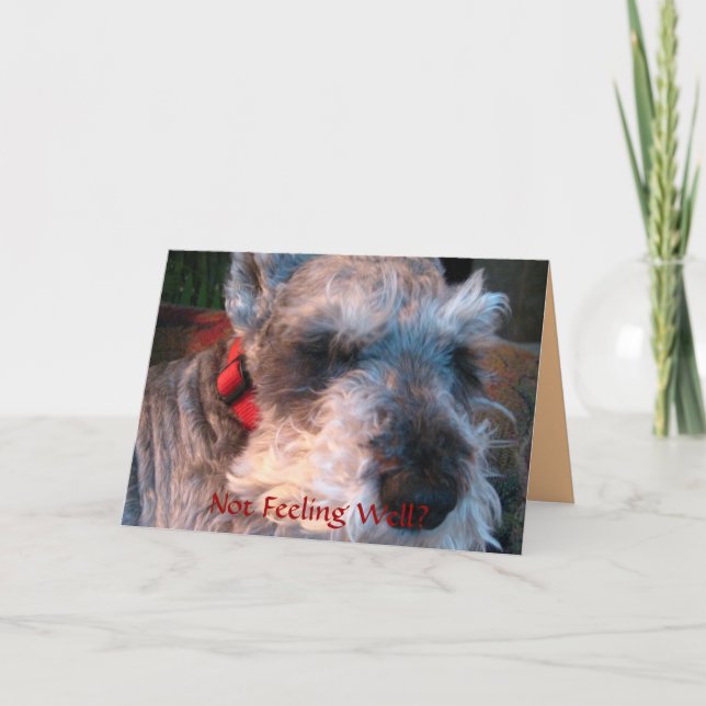 Cartão Get Well Soon, Hopeful (Frente)