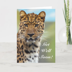 Cartão Get Well Soon Leopard greeting card