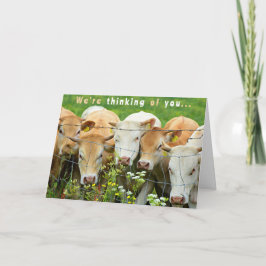 Cartão Get Well Soon  Ranch Farm Cattle Country Flowers