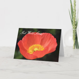 Cartão Get Well Soon Red Poppy Card