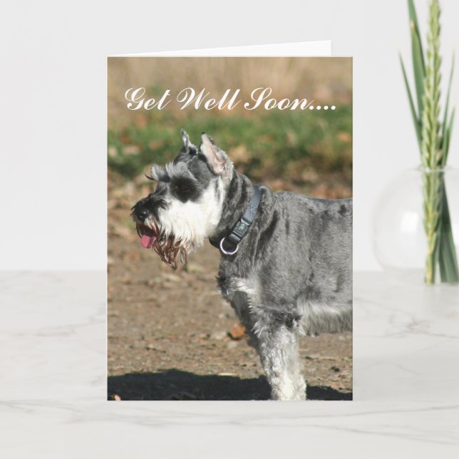 Cartão Get Well Soon Schnauzer dog greeting card (Frente)