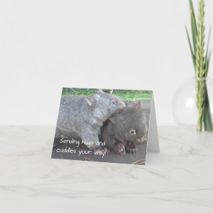 Cartão Get well soon, sympathy, cuddly wombat animals car