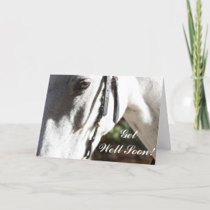 Cartão Get Well Soon White Horse Greeting Card