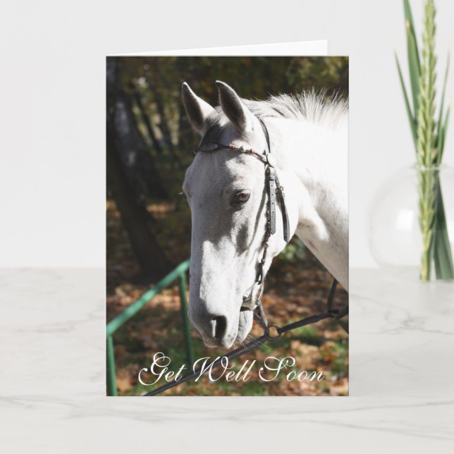 Cartão Get Well Soon White Horse Greeting Card (Frente)