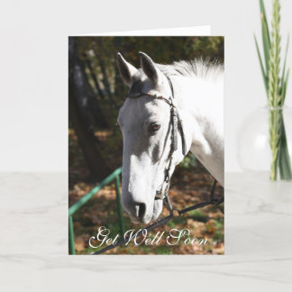 Cartão Get Well Soon White Horse Greeting Card
