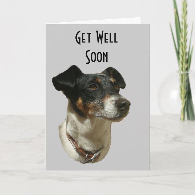 Cartão Get Well soon with Jack Russell dog Greeting  Card (Frente)