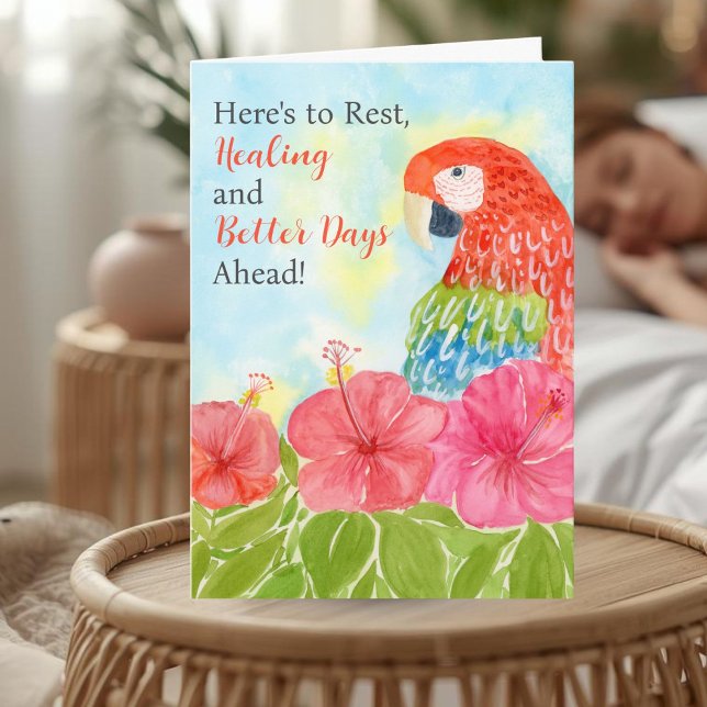 Cartão Get Well Soon with Scarlet Macaws and Hibiscus (Criador carregado)