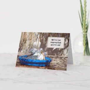 Cartão Gettin Old Birthday Pelicanos