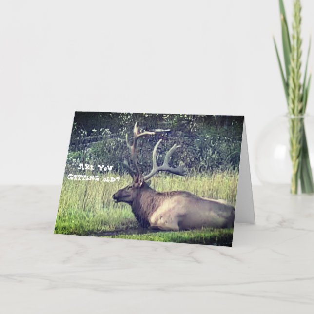 Cartão "Getting Old" Birthday Card (Frente)