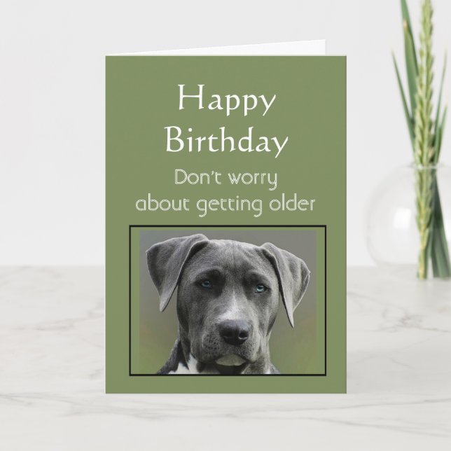 Cartão Getting Older Humor Happy Birthday Fun Dog (Frente)