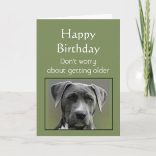 Cartão Getting Older Humor Happy Birthday Fun Dog