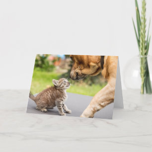 Cartão Getty Images Dog & Cat In Love