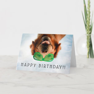 Cartão Getty Images Dog With Glasses