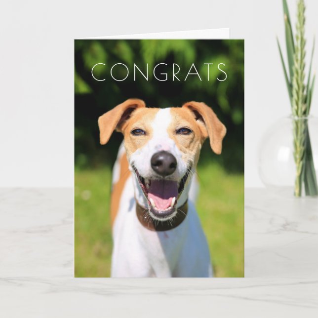 Cartão Getty Images | Laughing Dog (Frente)