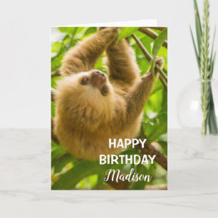 Cartão Getty Images   Upside Down Sloth
