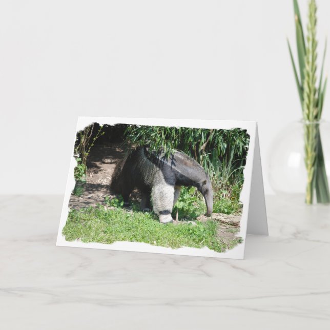 Cartão Giant Anteater  Greeting Card (Frente)