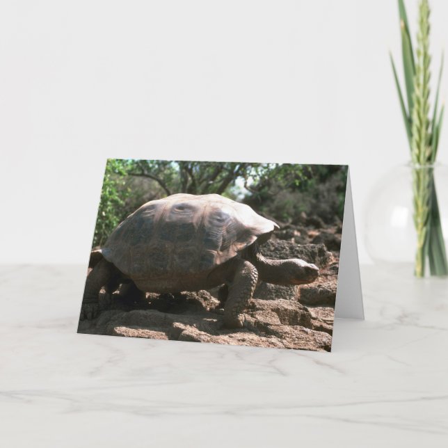Cartão Giant Dome-Shaped Tortoise Walking (Frente)