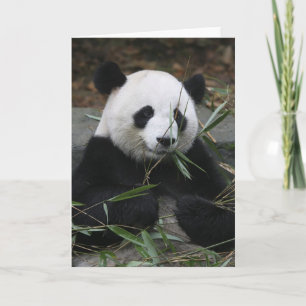 Cartão Giant panda