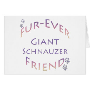 Cartão Giant Schnauzer Fuore
