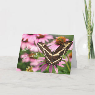 Cartão Giant Swallowtail