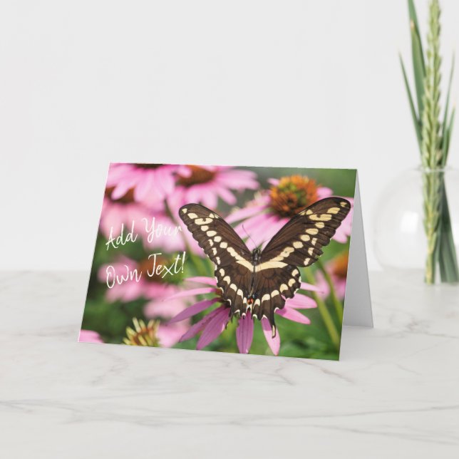Cartão Giant Swallowtail (Frente)