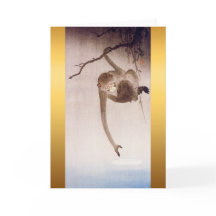 Gibbon a procurar o reflexo da lua VGC