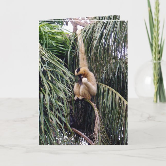 Cartão Gibbon,_Just_Chillin,_Greeting_Card. (Frente)