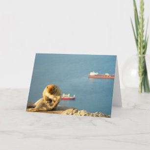 Cartão Gibraltar Barbary