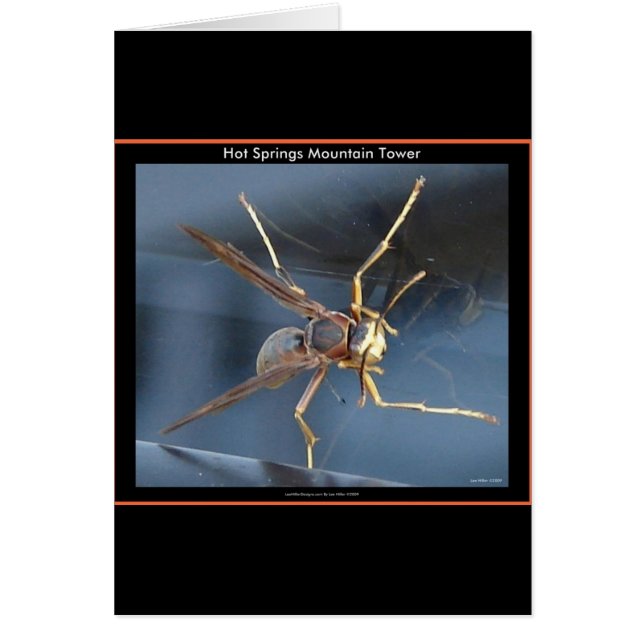 Cartão Gift & Aparel de Montanha Quente Primavera (Frente)