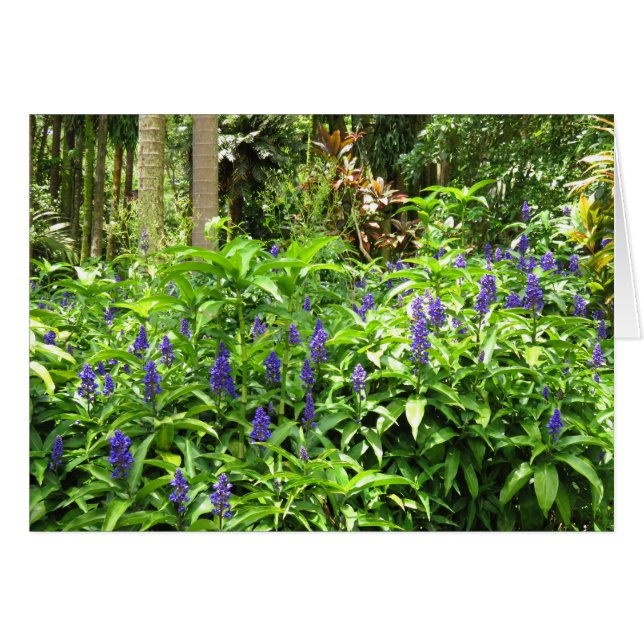 Cartão Ginger Azul (Frente Horizontal)