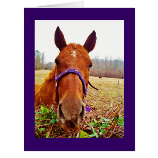 Cartão Ginger Brown Horse Face