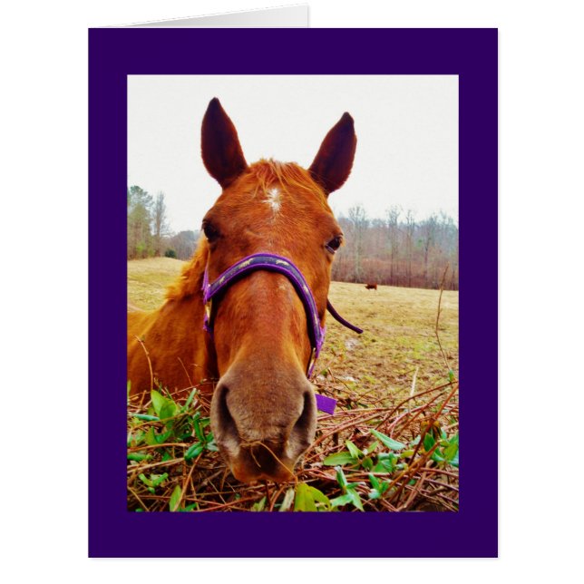 Cartão Ginger Brown Horse Face (Frente)