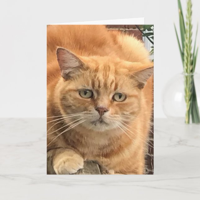 Cartão Ginger Cat Grumpy (Frente)