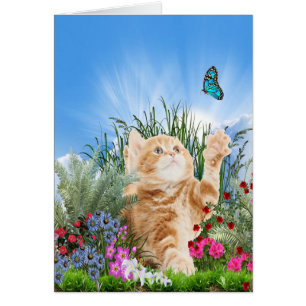 Cartão Ginger kitten brincando com uma borboleta