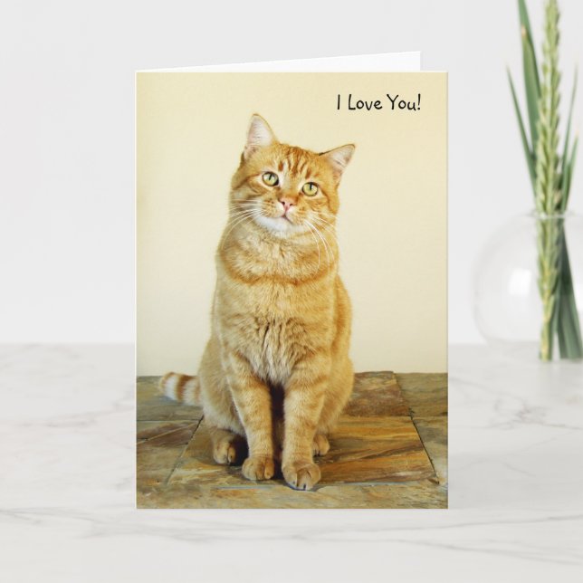 Cartão Ginger Tabby Cat Love Card (Frente)