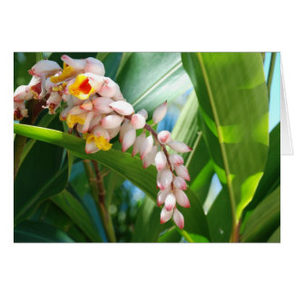 Cartão Ginger tropical
