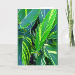 Cartão "Ginger Variegado"