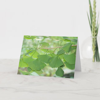 Cartão gingko