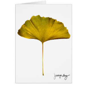 Cartão "Gingko" por J. Maya Luz