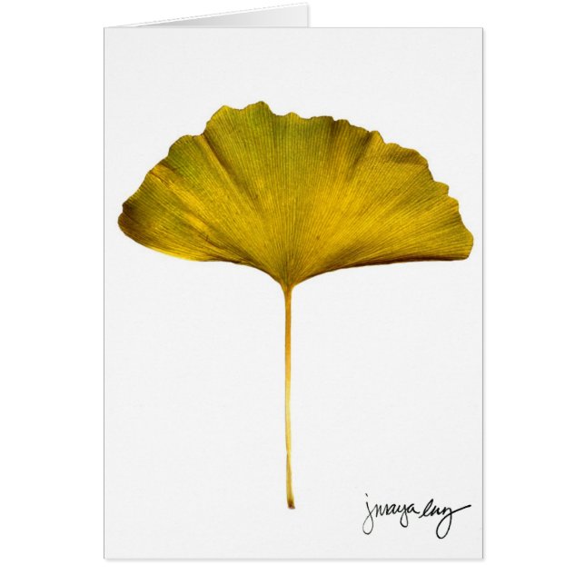 Cartão "Gingko" por J. Maya Luz (Frente)
